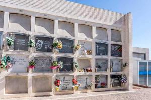 cementerio cervello